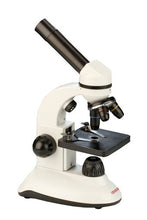 Load image into Gallery viewer, Frederiksen Junior Microscope - Monocular 4x 10x 40x Objective Lens
